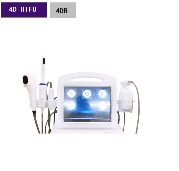 4 in 1 4D Hifu Vmax Face lifting Liposonix Body Slimming Vaginal Tightening Beauty Machine 4DB