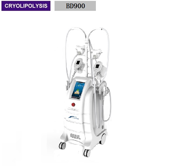 Salon Use Multifunction Weight Loss Cryolipolysis Slimming Beauty Machine BD900