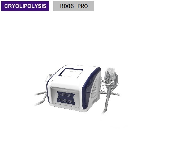 Double Chine Body Slimming Cryolipysis Fat Freezing Beauty Machine BD06 PRO