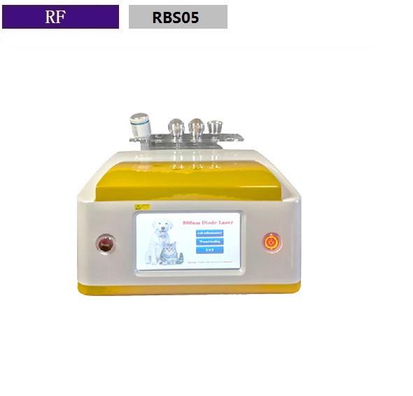 Portable Clinic Use 980NM Diode Laser Veterinary Removal Machine RBS05